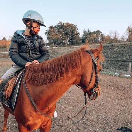 Borgo Degli Ulivi Apartament