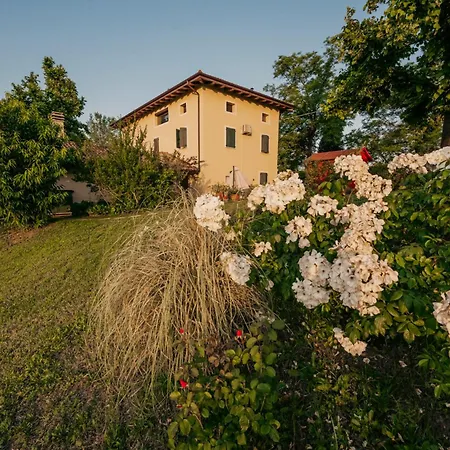 公寓 Borgo Degli Ulivi 克雷斯佩拉诺